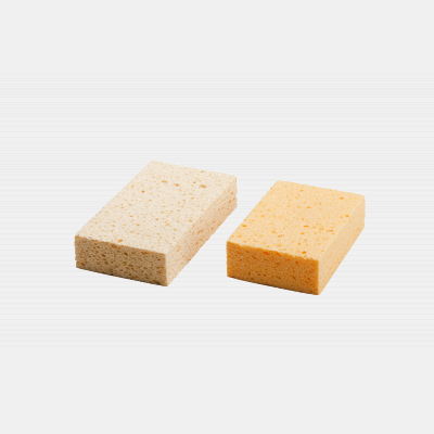 SM Arnold G.P. Cllse. Sponge
